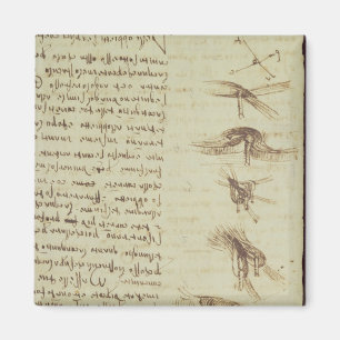 Íman Diagramas científicos