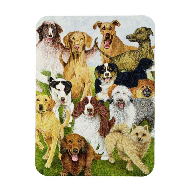 Íman Dias Cães (Vertical)