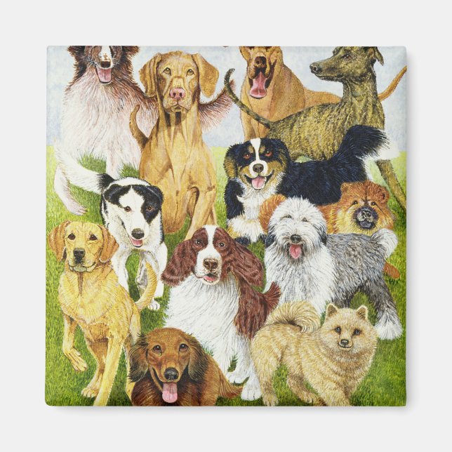 Íman Dias Cães (Frente)