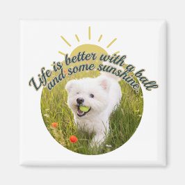 Íman Dias de Dandelion Bichon & Bola