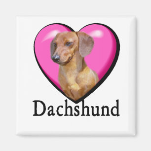 Íman Dias de os namorados Dachshund Lovers