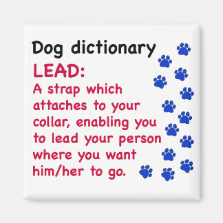 Íman Dicionário de cão líder