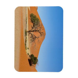 Íman Die Dünen des Sossusvlei na Namíbia