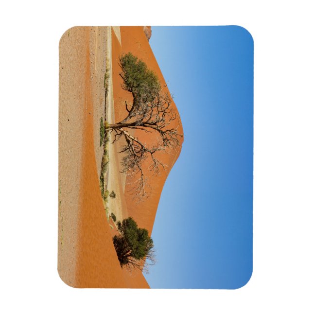 Íman Die Dünen des Sossusvlei na Namíbia (Vertical)