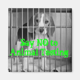 Íman "Diga não ímã do lebreiro ao teste animal"