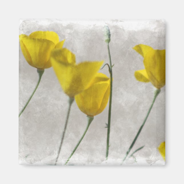 Íman Digital Watercolor Yellow California Poppies Magne (Frente)