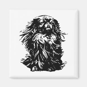 Íman Dignidade Pekingese