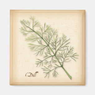 Íman Dill Herb, Dill Weed