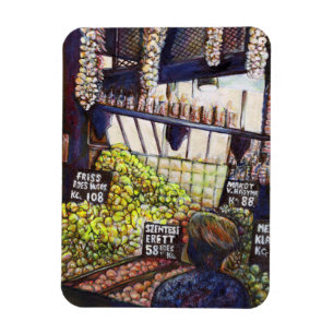 Íman Dimensões da curiosidade