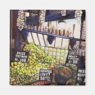 Íman Dimensões da curiosidade