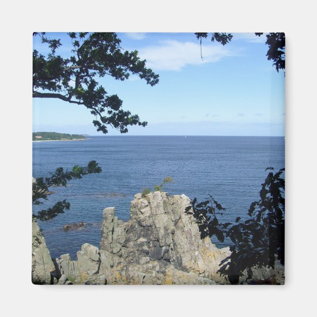 Íman Dinamarca: Costa Dinamarca (Frente)