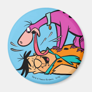 Íman Dino que lambe o Flintstone de Fred