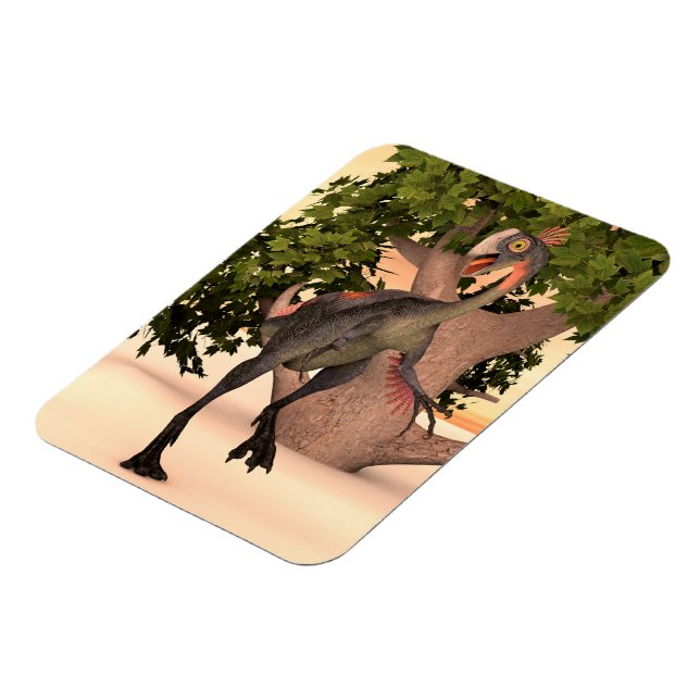 Íman Dinosaur Gigantoraptor (Left Side)