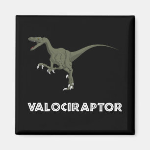 Íman Dinossauro do Velociraptor