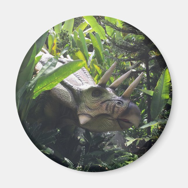 Íman Dinossauro na natureza (Frente)