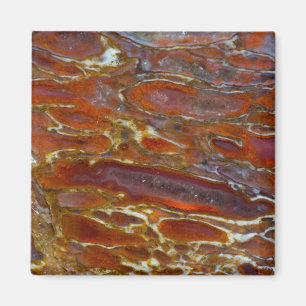 Íman Dinossauro Petrificado