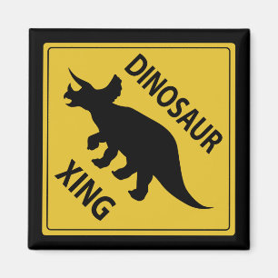 Íman Dinossauro Xing