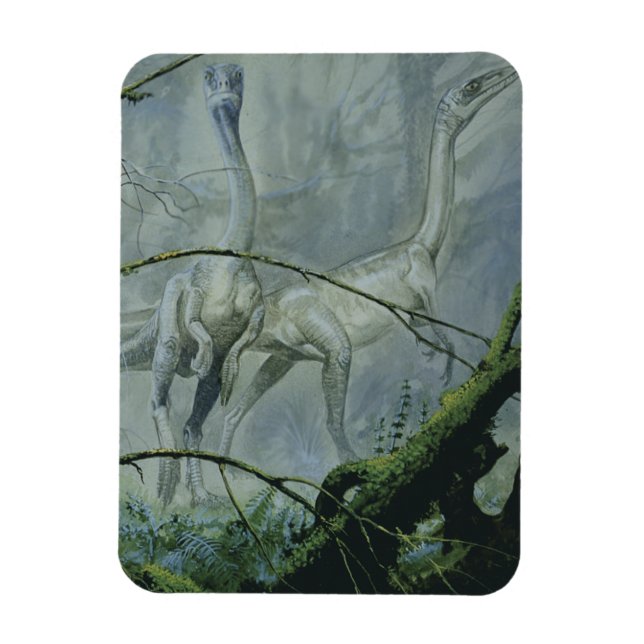 Íman Dinossauros Antigos, Megapnosaurus ou Syntarsus (Vertical)