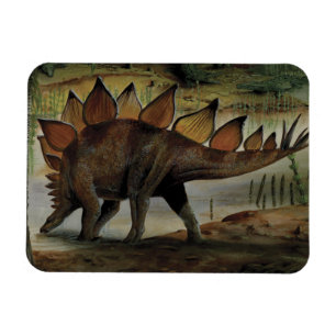 Íman Dinossauros do vintage, Stegosaurus, cauda com