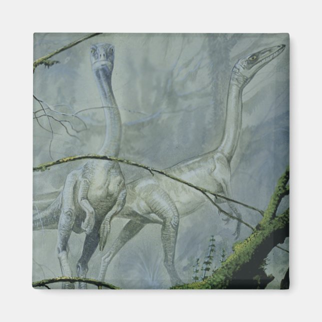 Íman Dinossauros Vintage, Megapnosaurus aka Syntarsus (Frente)