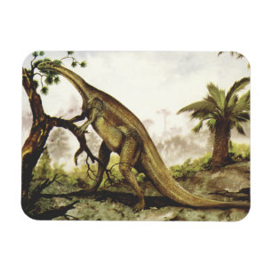 Íman Dinossauros Vintage, Plateossauro Pastando em Árvo