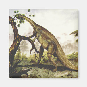 Íman Dinossauros Vintage, Plateossauro Pastando em Árvo