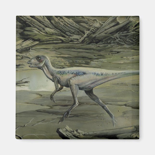 Íman Dinossauros Vintage, um Hypsilophodon Cretáceo (Frente)