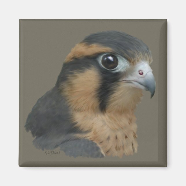 Íman Diplomado (Frente)