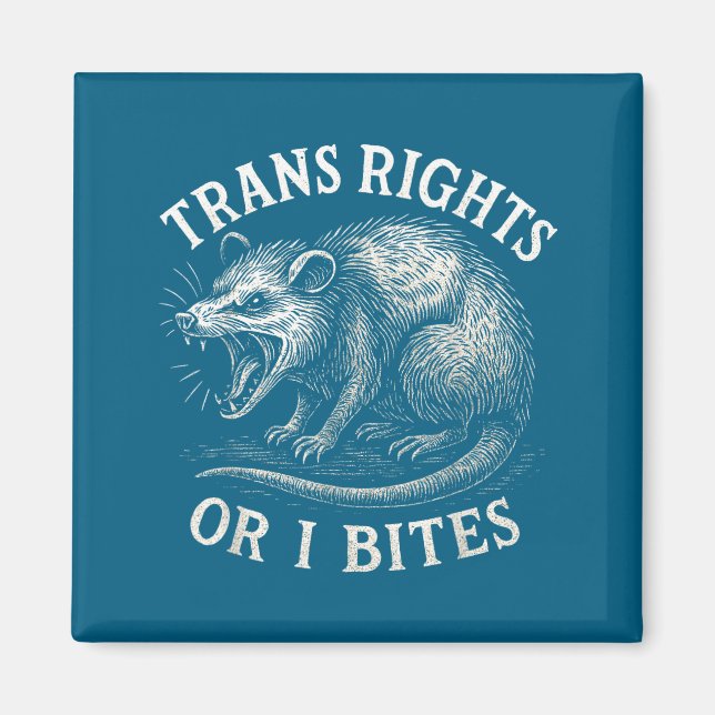 Íman Direitos Trans Ou Eu Morde Engraçado Transgênero S (Frente)