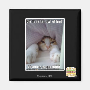 Íman Dis iz tão longe da cama.