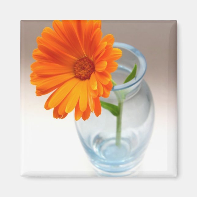 Íman Disposição Floral (Frente)