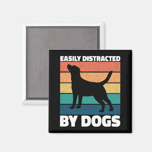 Íman Distraído Facilmente Por Cães Cachorros Cachorros 