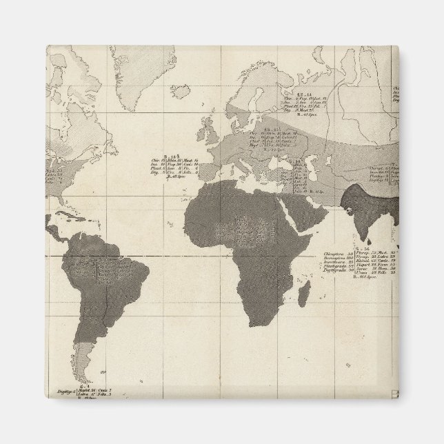 Íman Distribuição geográfica da vegetação (Frente)