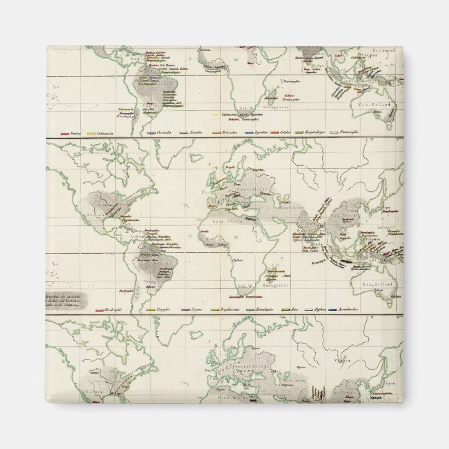 Íman Distribuições de cobra (Frente)