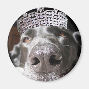 Íman Diva
