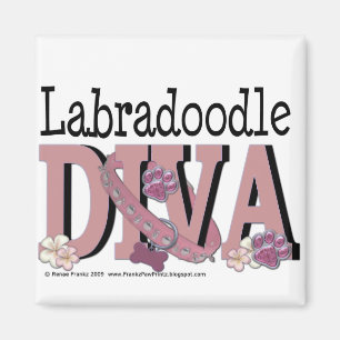 Íman DIVA de LabraDoodle
