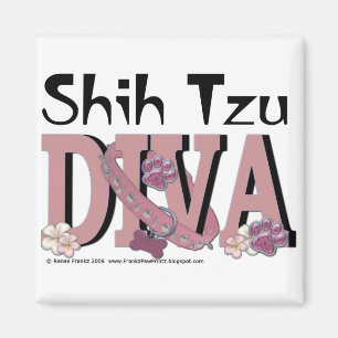 Íman DIVA de Shih Tzu