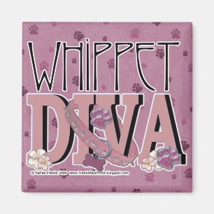 Íman DIVA de Whippet