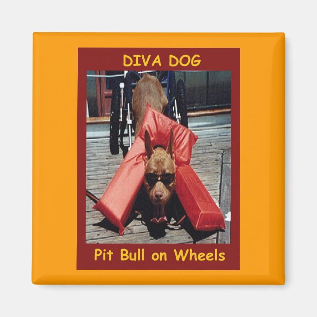 Íman DIVA DOG Chillin' Refrigerator Magnet (Frente)