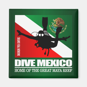 Íman Dive México DF2