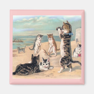 Íman Diversão de gato no Beach Magnet