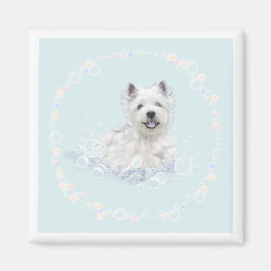 Íman Diversão na hora do banho do Westie