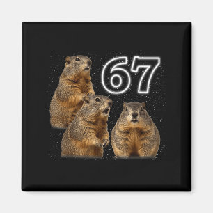 Íman Divertido 3 Groundhog Uivando Para A Lua Paródia G