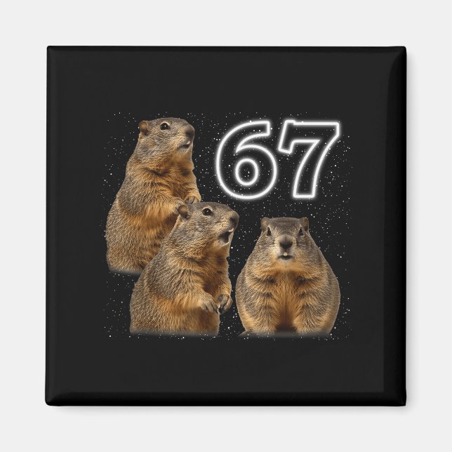 Íman Divertido 3 Groundhog Uivando Para A Lua Paródia G (Frente)