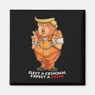Íman Divertido Anti-trump Eleja Um Criminoso Crimes Div