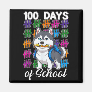 Íman Divertido husky siberiano de 100 dias de escola me