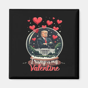 Íman Divertido Trump é meu namorado homens mulheres apo