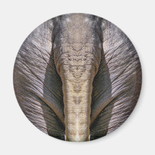 ÍMAN DIVERTIMENTO DO ELEFANTE