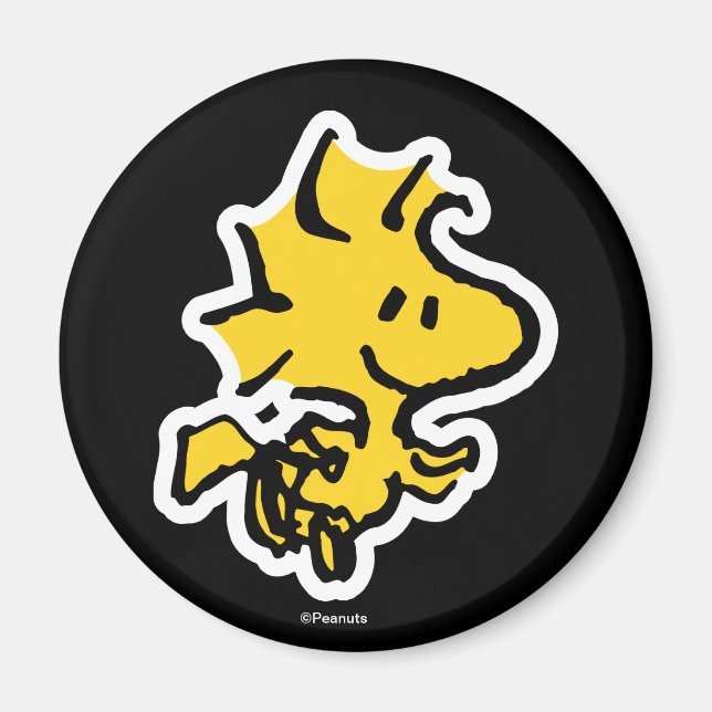 Íman Divertimento e flores do Snoopy & Woodstock (Frente)