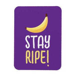 Íman Dívidas Favoritas de Banana Retro Engraçadas Perso